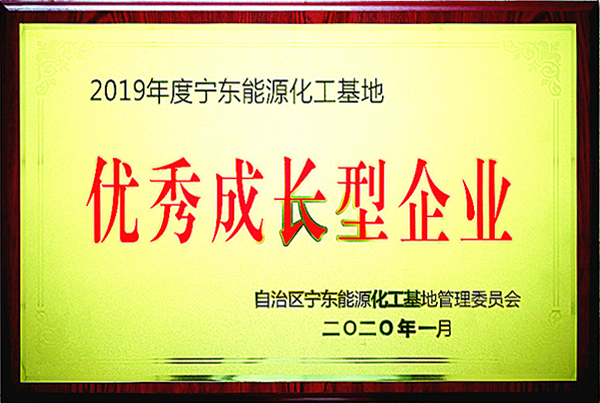 宁东能源化工基地优秀成长型企业