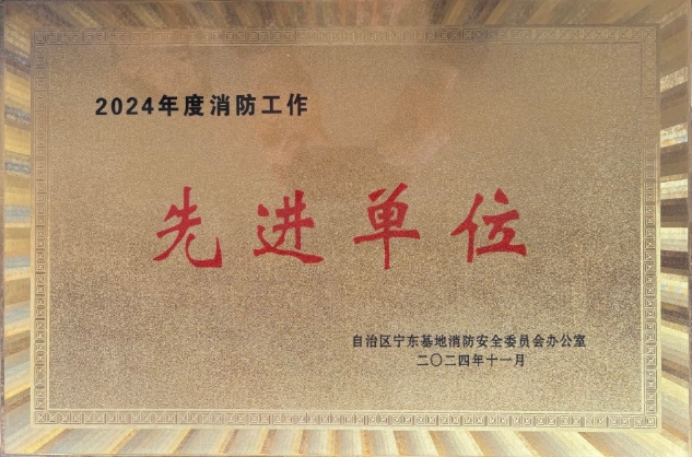 筑牢安全基石 强化消防管控|365英国上市公司荣获2024年度消防工作先进单位