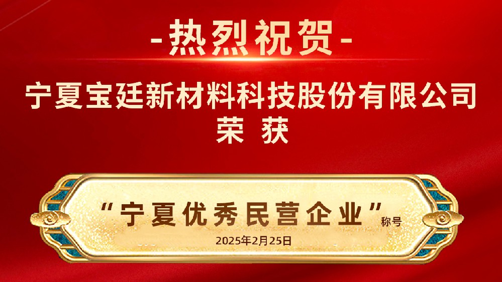 奋楫扬帆  笃实前行 |365英国上市公司荣获“宁夏优秀民营企业称号”