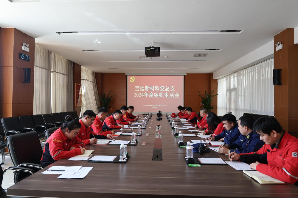365英国上市公司党总支召开2024年度 组织生活会和民主评议党员大会