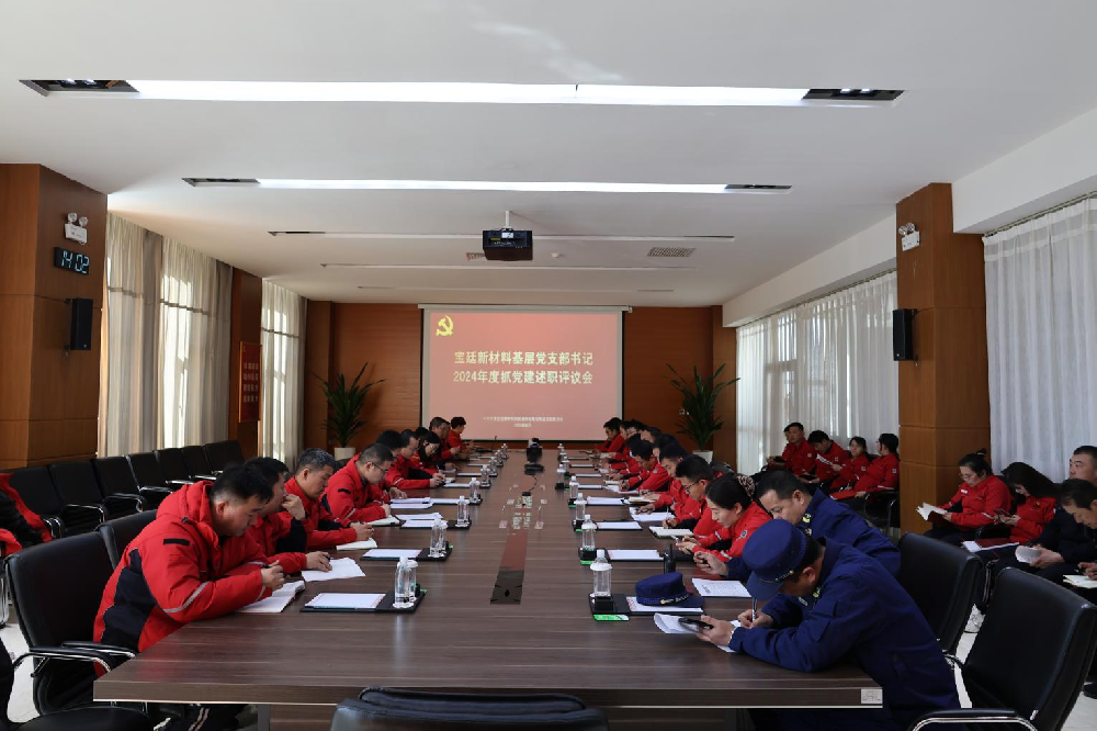 2024年度365英国上市公司党支部书记 抓基层党建工作述职评议会