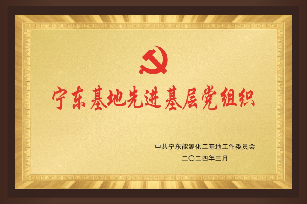 宁东基地先进基层党组织