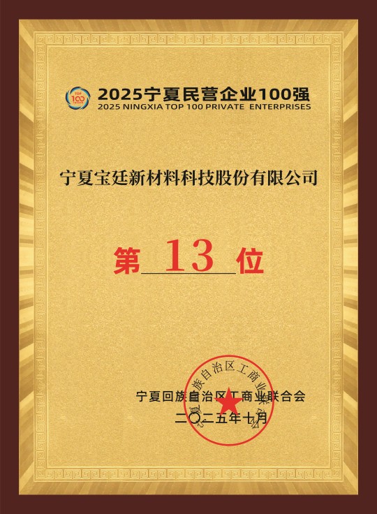 2025宁夏民营企业100强第13位